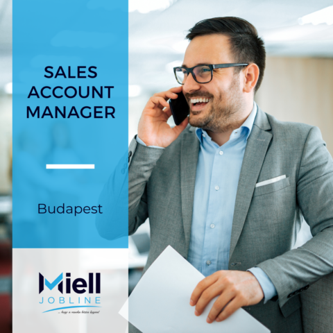 Sales account manager